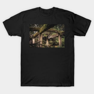 Abandoned Tin Mine Rolava #2 T-Shirt